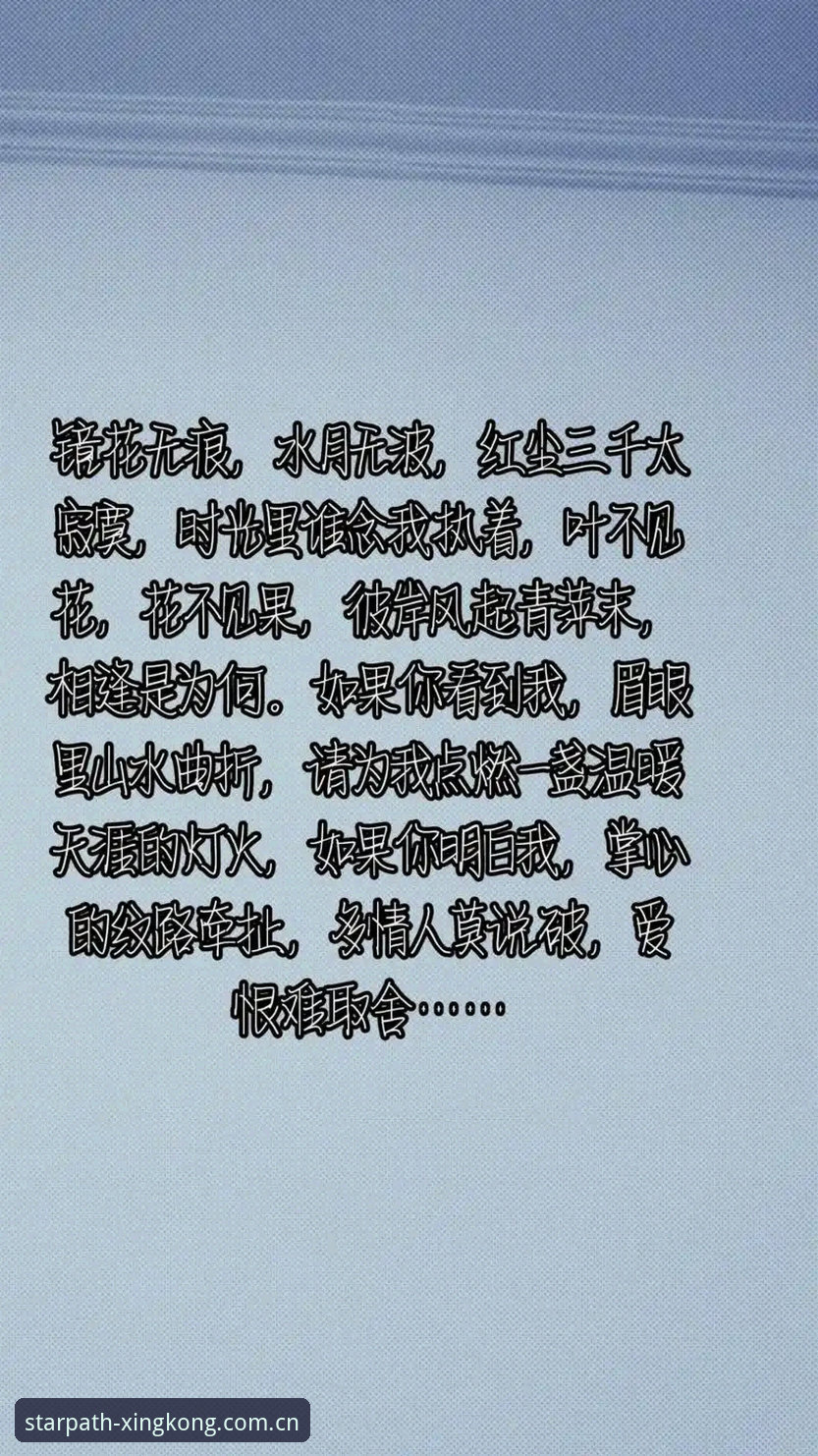 安卓版把星光铺成路下载功能详解：七天实测后的取舍心得