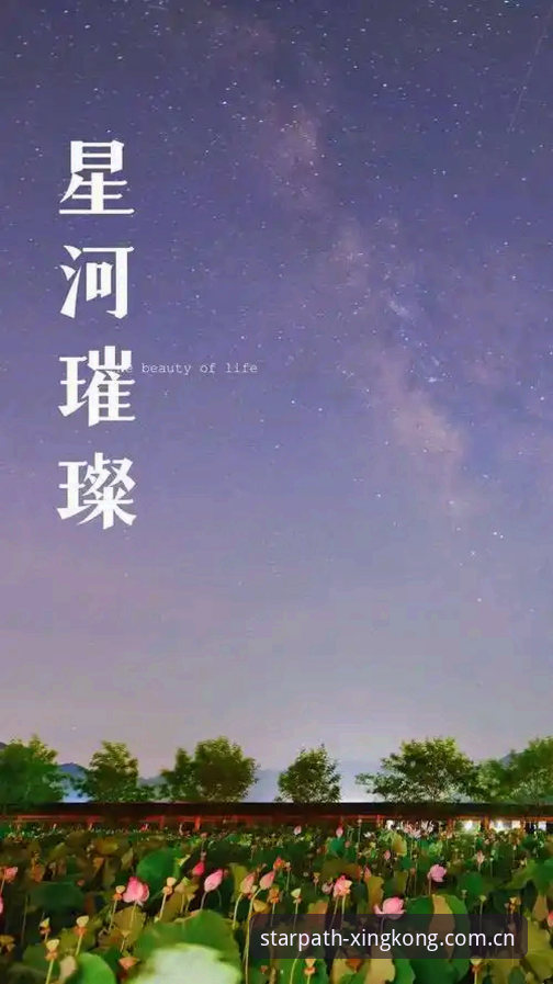 XINGKONG星空体育官网发布安卓版把星光铺成路下载最新动态：v3.2.1版本赛事数据刷新率提升40%